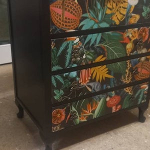 Tall Boy Cabinet with Drawers. Cupboard Storage. Tropical Bird Print. Upcycled Painted Living Room Furniture.