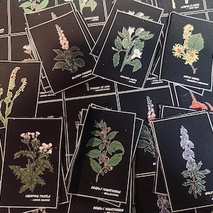 May include: A collection of rectangular black fabric patches featuring botanical illustrations of plants including Creeping Thistle, Deadly Nightshade, Wolfbane, Bloody Fingers, Moonflower, and Witch Hazel, each with its common and scientific name printed below.