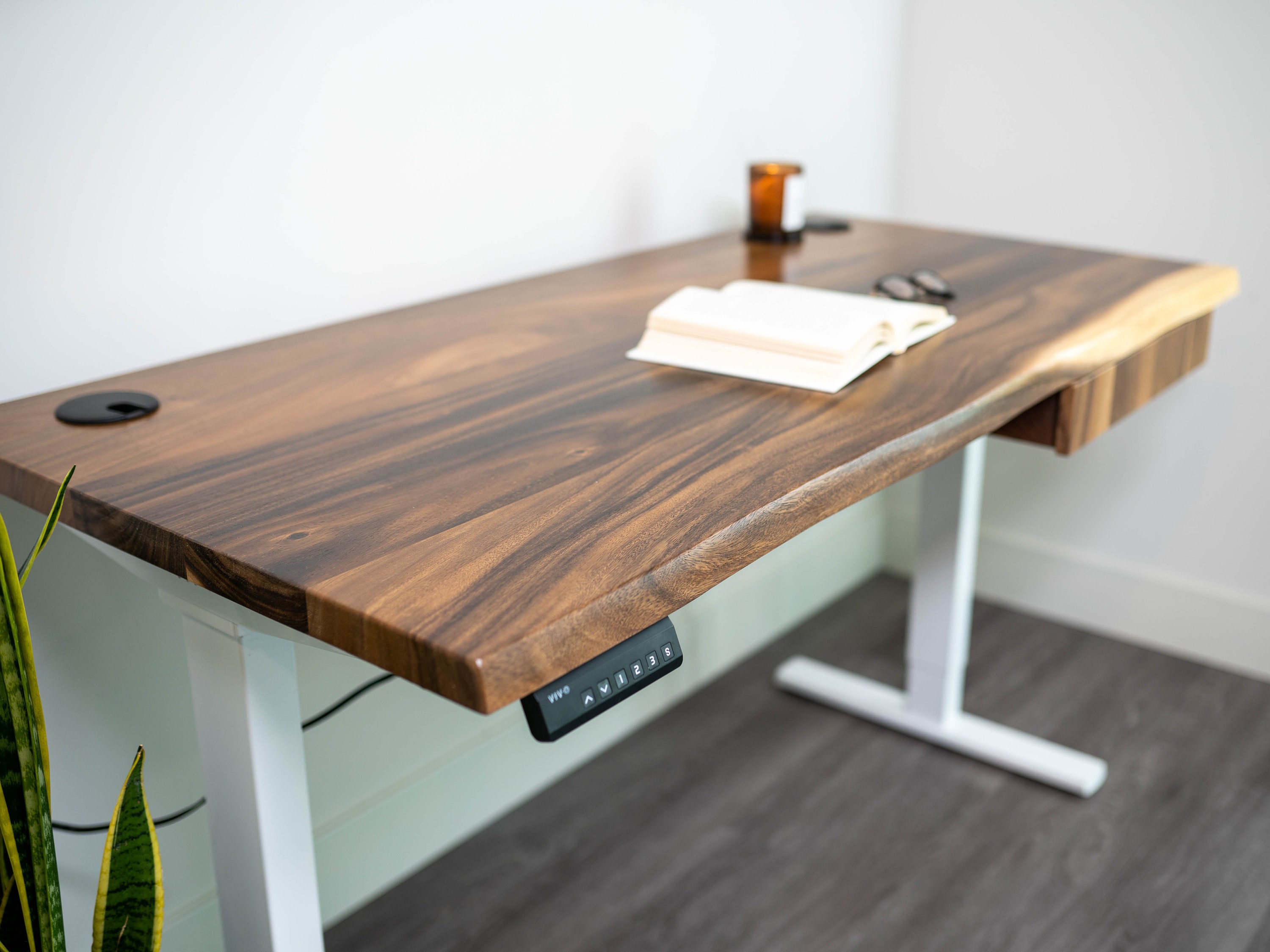 Walnut adjustable desk deals