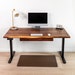 see more listings in the Adjustable Desk section