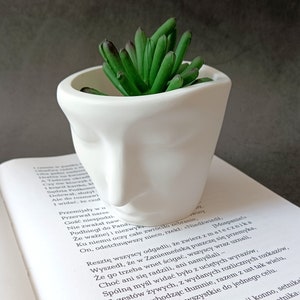 Suckulent ansikte växtkruka: Betong heminredning (10 x 8 cm)