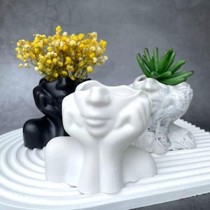 May include: Three face-shaped planters in black, white, and marbled gray, each holding different plants. The white planter is in the foreground, with a black planter holding yellow flowers behind it. A gray planter with a green succulent is in the background.