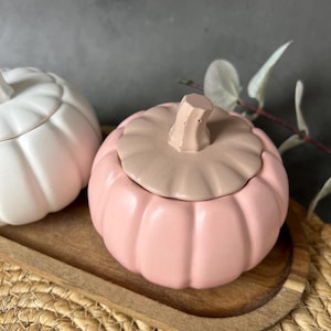 Peut inclure: Un récipient en forme de citrouille rose clair mat avec un couvercle à tige beige, placé à côté d'un récipient en forme de citrouille blanc. Les deux objets présentent une texture côtelée et sont fabriqués dans un matériau lisse et solide.