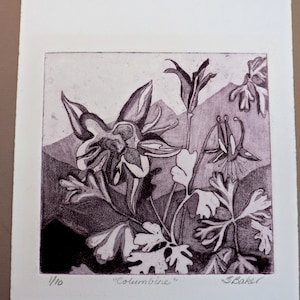 Mountain Columbine limited edition etching, art print