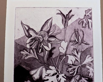 Mountain Columbine limited edition etching, art print