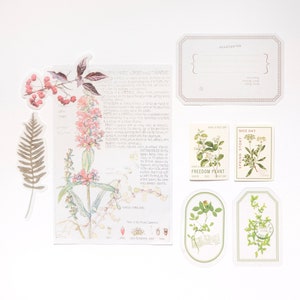 Botanical Nature Flatlay Styling Props Flat lay kit Stationary Scrapbooking