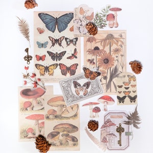 Whimsical Woodland  Flatlay Kit Styling Detail Props Stationary Scrapbooking