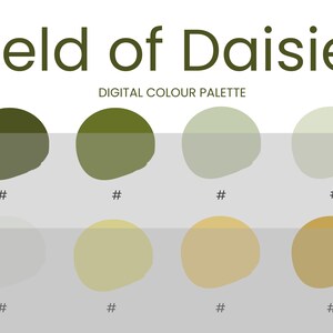 Field of Daisies Digital Colour Palette Brand Colour Palette Colour HEX Codes Instant Download image 2