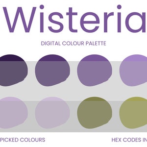 Wisteria Digital Colour Palette | Brand Colour Palette | Colour HEX Codes | Instant Download