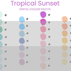 Tropical Sunset Digital Colour Palette Brand Colour Palette Colour HEX Codes Instant Download image 2