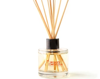 Diffusore di reed aromaterapica - Diffusore di olio essenziale naturale