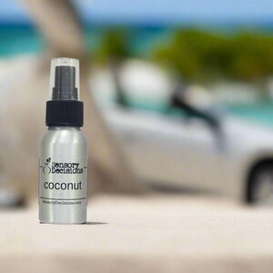 Coconut Scented Car Freshener