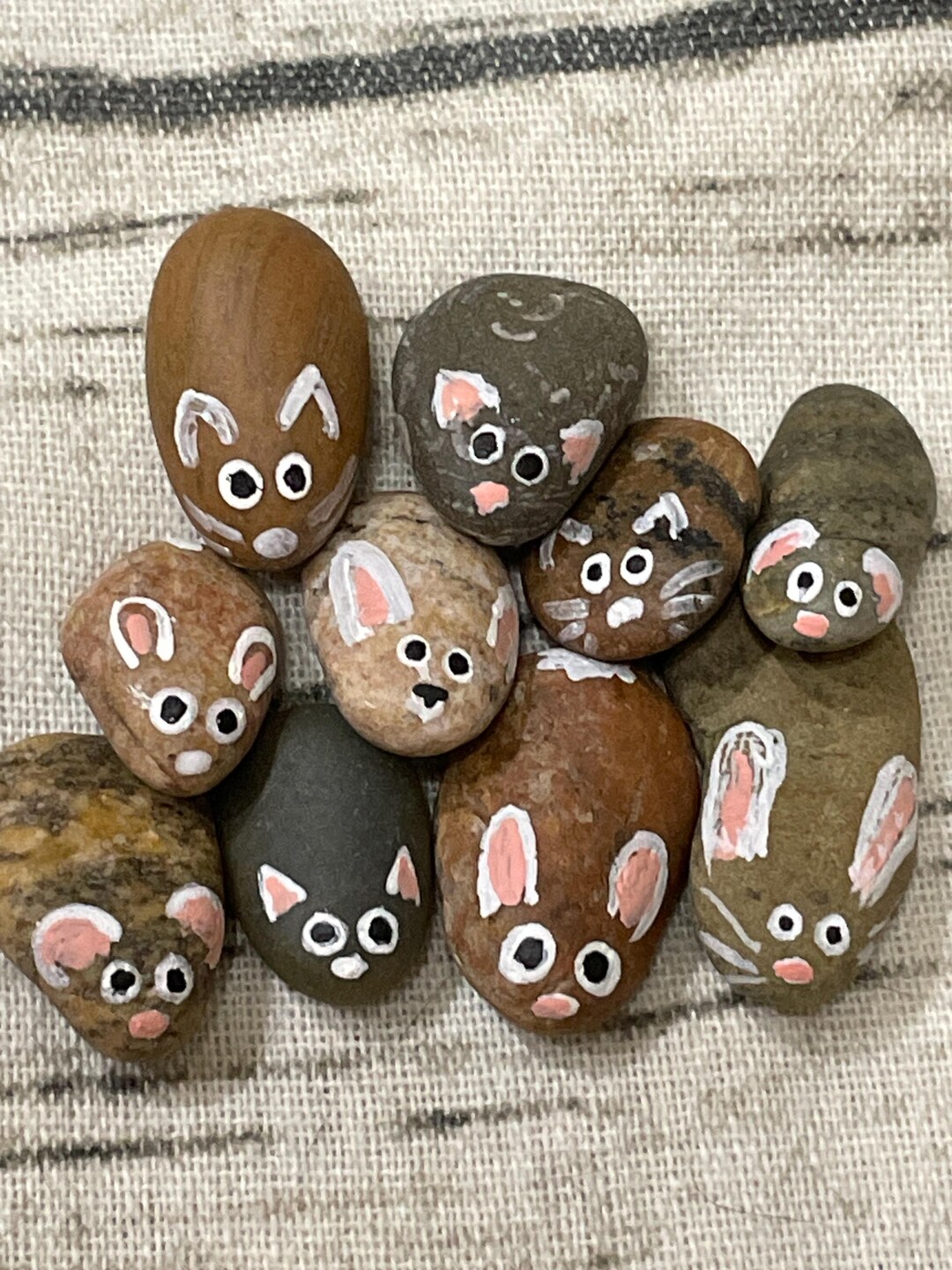 Pet Rooks Hand Painted Pet Rocks, Set of 10, Lake Rock Critters - Etsy