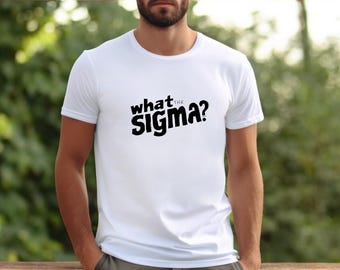 What the sigma t-shirt - teen slang graphic tee, funny meme shirt, unisex streetwear