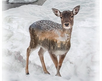 Call of the Wild Fawn Fabric Panel 29 x 43 by Hoffman of California | Wildlife Digital Print Quilting Cotton | V5211-345