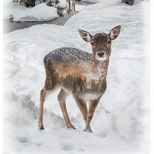 Peut inclure: Image numérique d'un cerf dans un paysage enneigé. Le corps du cerf présente une image superposée d'une forêt, créant un effet visuel unique. L'arrière-plan montre une forêt enneigée et un petit cours d'eau.