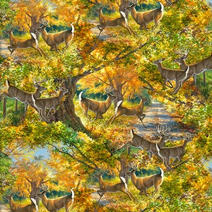 Through the Forest Light - Morning Run 20727-Mlt by Abraham Hunter for 3 Wishes Fabrics