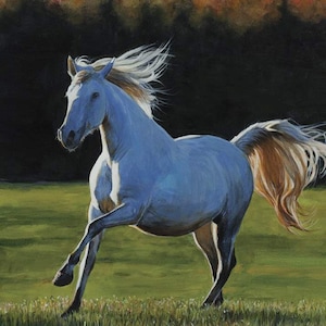 High Horse Full Gallop-paneel van Riley Blake PD11122-GALLOP