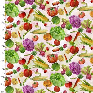 Welcome to the Funny Farm - Veggies Multi Fabric by Connie Haley for 3 Wishes 18732-MLT
