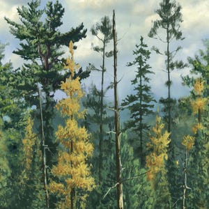 Paisajes naturales de Northwood, árboles, por Hautman Brothers Wildlife Art para Northcott DP27541-78