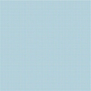 The Tale of Peter Rabbit Gingham Fabric in Blue by Riley Blake | Beatrix Potter Quilting Cotton | End of Bolt 2.33 Yards | C14704-BLUE