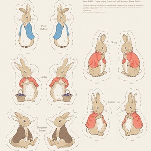 Può includere: Un set di nove modelli stampabili per realizzare peluche di Peter Rabbit, Flopsy, Mopsy, Cotton-tail e Benjamin Bunny. I modelli includono le viste anteriore e posteriore di ogni personaggio.