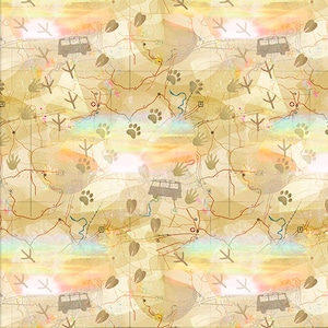 Road Trippin' - Exploration Map END of BOLT 1.25 Yards 20886-MLT von Connie Haley für 3 Wishes Fabrics