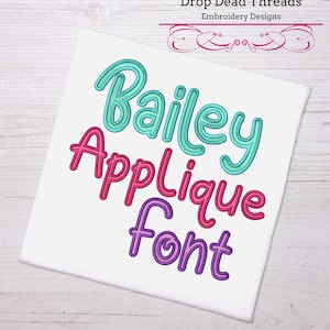 Bailey applique machine embroidery font design file three sizes includes BX