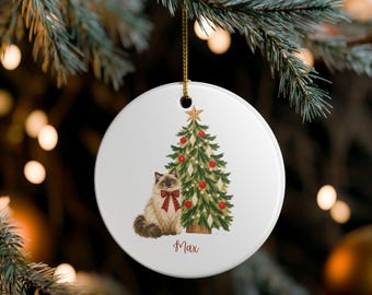 Ceramic Ragdoll Cat Christmas Ornament, Holiday Pet Gift, Tree Decoration