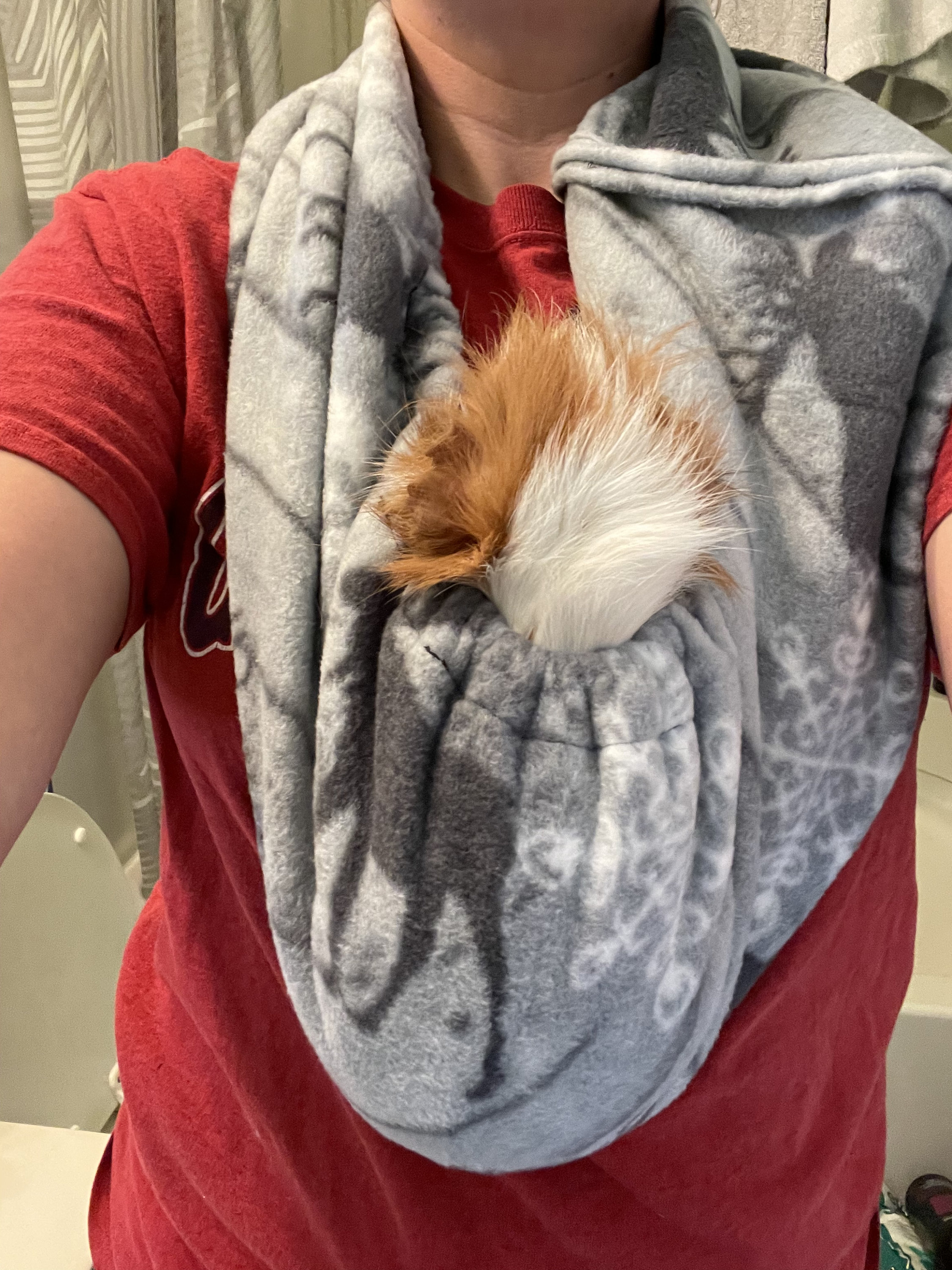 Guinea Pig Bonding Scarf Multiple Options Etsy