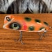 Leurre De Pêche Vintage Topwater Popper – Frog Spot 3 – Pêche En Eau Douce – Plastique D'origine