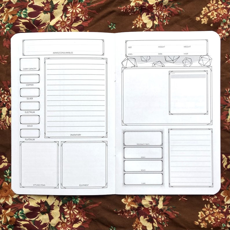 May include: Open notebook with black line art. The left page has sections for inventory, carry capacity, and currency. The right page has sections for character details, including age, height, weight, and traits. Dice illustrations are at the top.