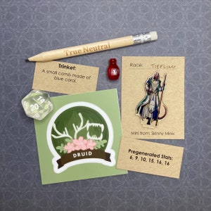 Mystery RPG Character