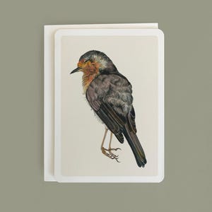 Cartão de felicitações do Robin Europeu - "Robin No.1" A6 - Desdobrável - Em branco por dentro - Feito pelo artista - Qualidade Giclée / Arquivo