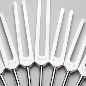 May include: A set of nine silver tuning forks with different frequencies marked on them, including 963 Hz, 741 Hz, 417 Hz, 283 Hz, 174 Hz, 356 Hz, 528 Hz, 639 Hz, and 852 Hz.