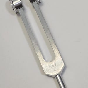C 256 Hertz Gewichtete Stimmgabel