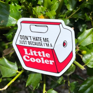 I’m a little cooler car decal waterproof sticker vinylSTOCKING STUFFERS