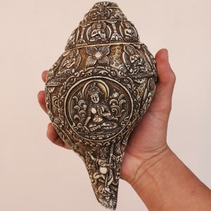 Rare Tibetan Buddhist 21 Taras 5 Buddhas Mahakal Carved Conch Shell 8.5&quot; - Nepal
