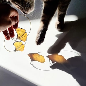Könnte beinhalten: Goldfarbene Creolen mit gelben Ginkgo-Blatt-Anhängern. Die Ohrringe werden von einer Hand gehalten, wobei eine Katzenpfote danach greift. Die Ohrringe werfen einen Schatten auf die weiße Oberfläche.