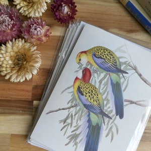 Bundles - Cartes de vœux vintage Birds