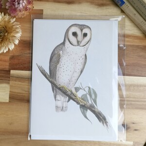 Bird Card Australian Delicate Owl Cottagecore