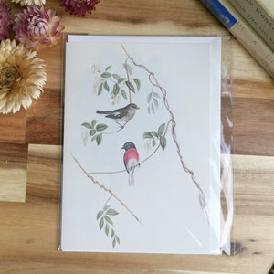 Australische Vogelkaart Roze-Breasted Houten Robin