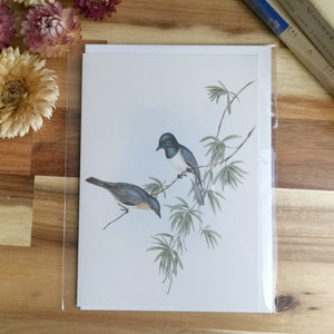 Carte Oiseaux, joli moucherolle bleu