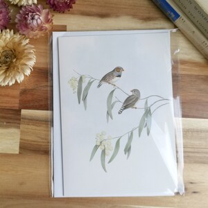 Roselin marlin - Carte Oiseau