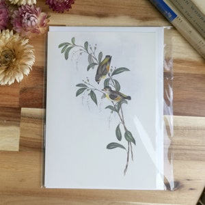 Cartão Vintage Bird - Australian Red Lored Pardalote