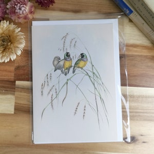 Carte Oiseau Cottagecore - Gouldian Gould