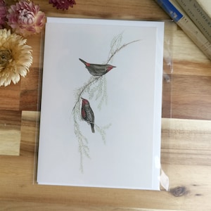 Carte d'oiseau vintage vierge peinte Firetail Finch