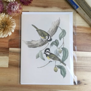 vintage Bird Card Pie-grièche huppée australienne