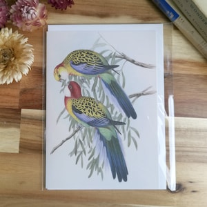 Carte d'oiseaux australiens, Rosella d'Adélaïde