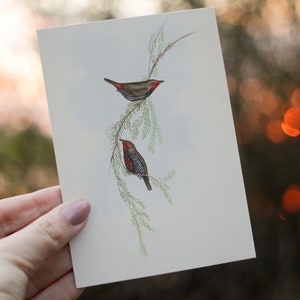 Feuerschwanz Fink Cottagecore Vogel Lesezeichen - Emblema Picta